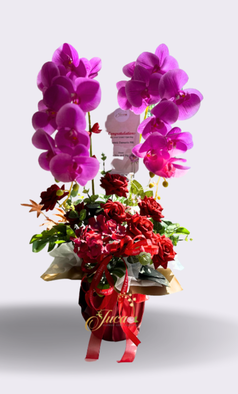 OC#02 – Anggrek Phalaenopsis Double with Roses