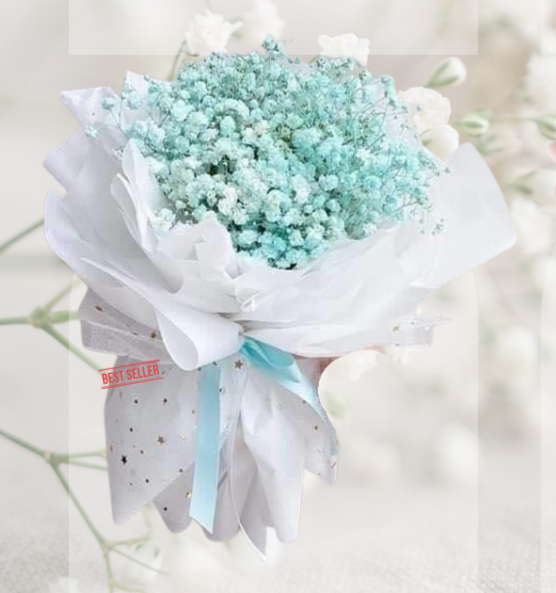 HBt#03 — 2 Steams Baby Breath Light Blue Bouquet
