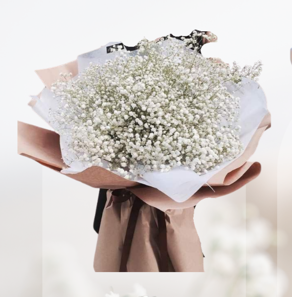 HBt#09 — 10 Steams Baby Breath Bouquet