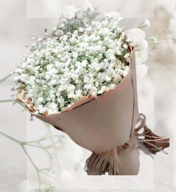 HBt#11 — 5 Steams Baby Breath Bouquet