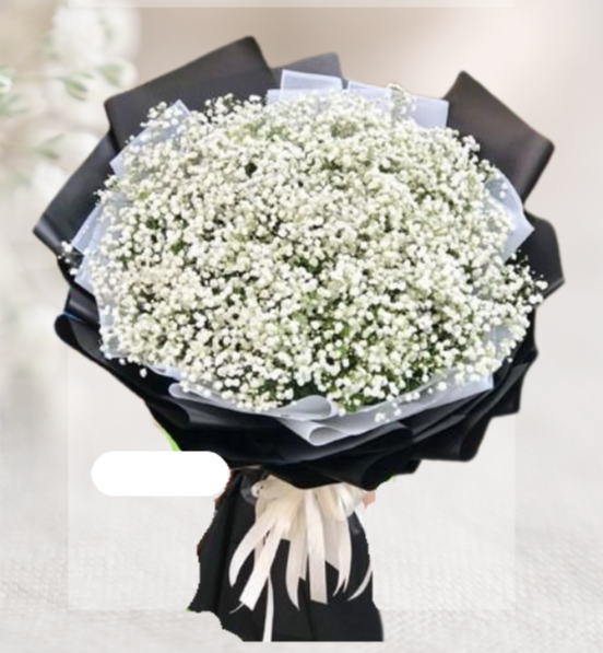 HBt#12 — 20 Steam Baby Breath Black Bouquet