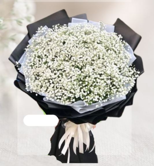 HBt#12 — 20 Steam Baby Breath Black Bouquet