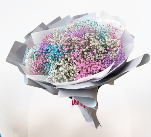HBt#14 — 25 Steams Baby Breath Rainbow Bouquet