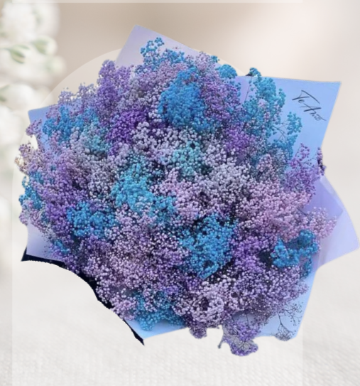 HBt#16 — 50 Steams Baby Breath Blue Purple Rainbow Bouquet