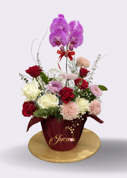 OC#07 – Anggrek Phalaenopsis Single with Roses & Carnation