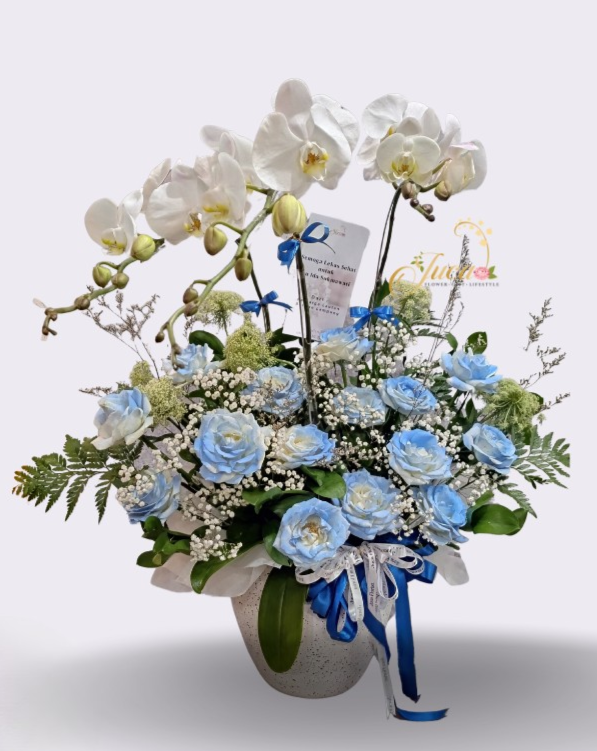 OC#13 – Anggrek Phalaenopsis Double Putih with Blue Roses & Gompi