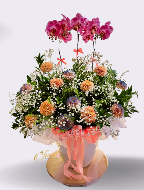OC#15 – Anggrek Phalaenopsis Triple Pink with Chrysanthemum