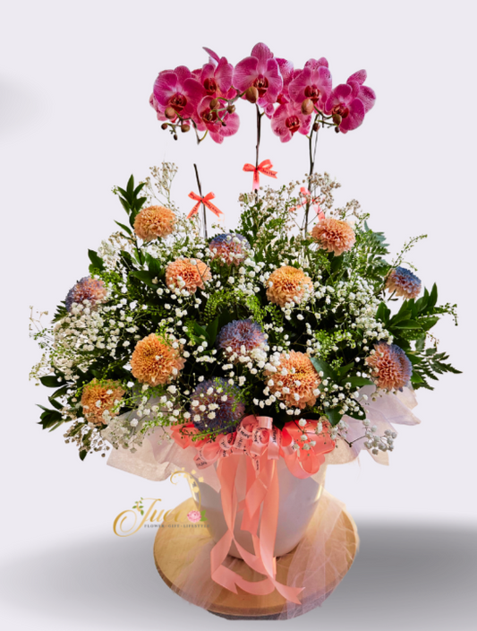 OC#15 – Anggrek Phalaenopsis Triple Pink with Chrysanthemum