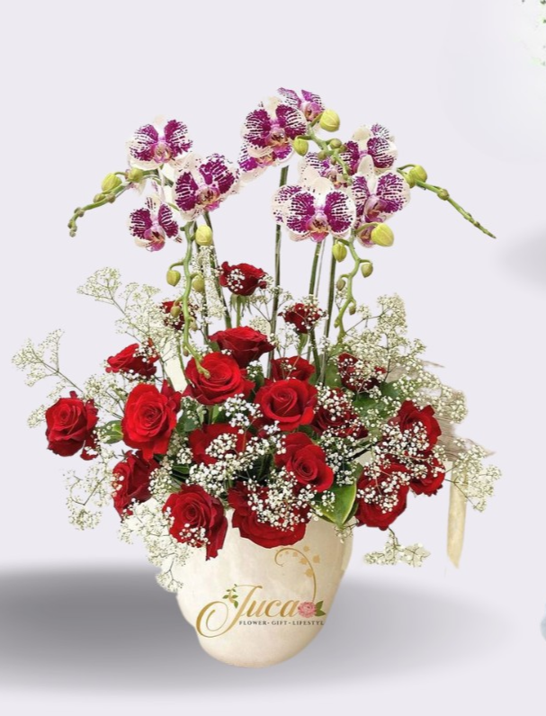 OC#20 – Anggrek Phalaenopsis 5 Tangkai Berbintik with Red Roses
