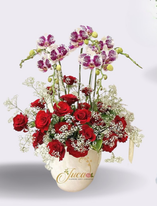 OC#20 – Anggrek Phalaenopsis 5 Tangkai Berbintik with Red Roses