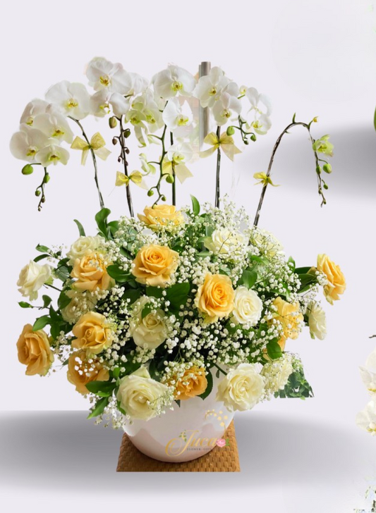 OC#23 – Anggrek Phalaenopsis 5 Tangkai Putih with Yellow Roses