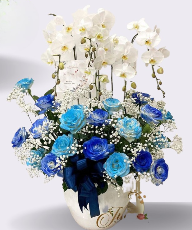 OC#24 – Anggrek Phalaenopsis 5 Tangkai Putih with Blue Roses