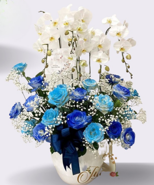 OC#24 – Anggrek Phalaenopsis 5 Tangkai Putih with Blue Roses